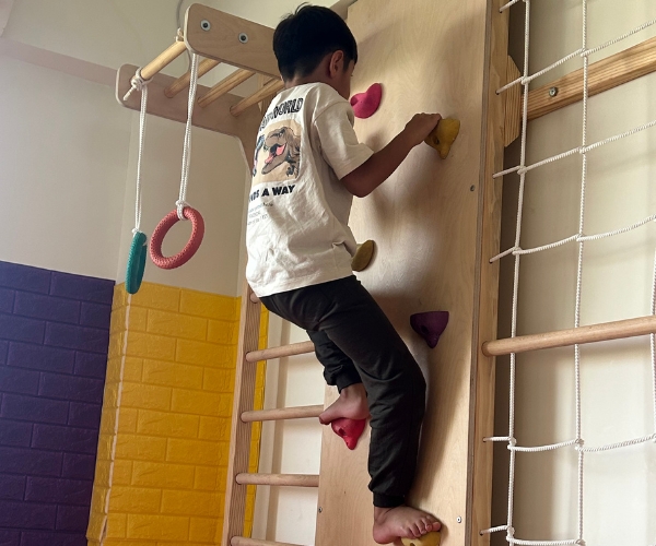 Occupational Therapy and Sensory Integration Therapy